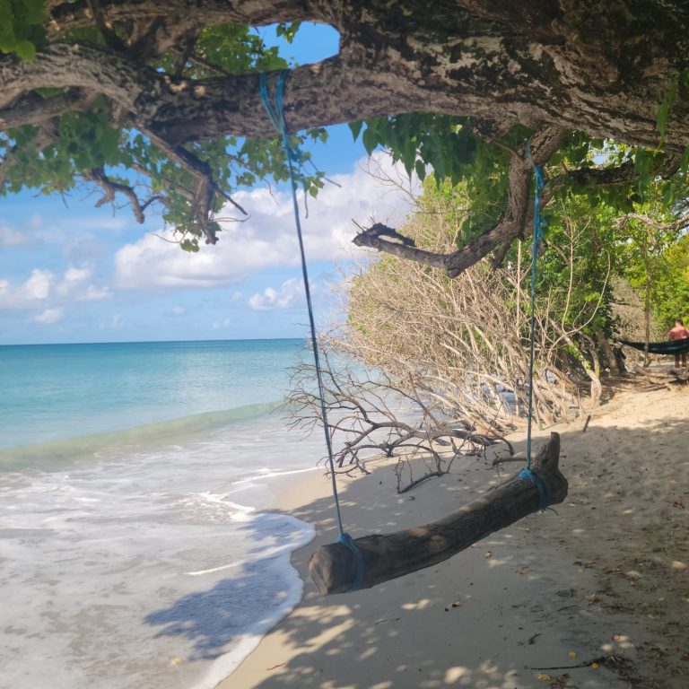 Balançoire sur une plage tranquille